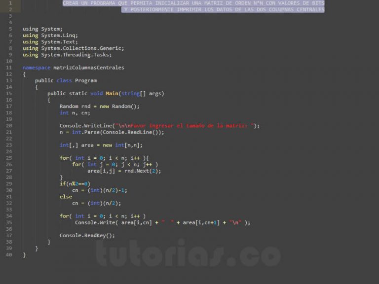 Ciclo For Visualstudio C Matriz Columnas Centrales Tutorias Co