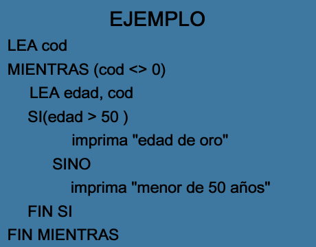 ejemplo ciclo mientras