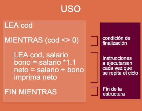 uso ciclo mientras