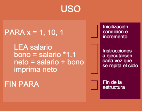 uso ciclo para