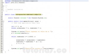 programacion en java: sobrepasar serie matematica epsilon