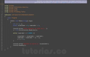 programacion en c#: serie matematica epsilon