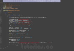 programacion en visualStudio: el tiempo al proximo segundo