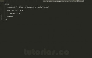 algoritmos: generar la matriz identidad
