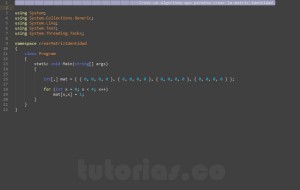 programacion en c#: generar la matriz identidad