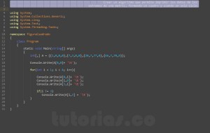 programacion en c#: figura cuadro