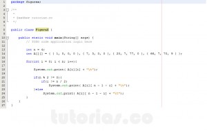 programacion en java: imprimir datos de figura X