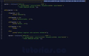 programacion en python: mostrar un menu de opciones