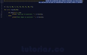 programacion en python: posiciones vector