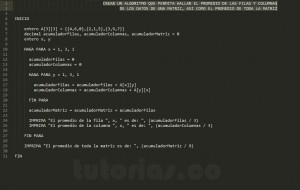 algoritmos: promedio filas y columnas de una matriz