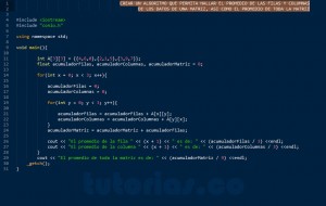 programacion en C++: promedio filas columnas de una matriz