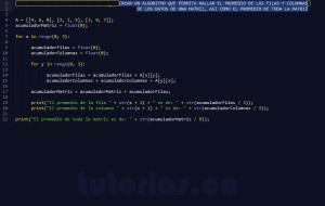 programacion en python: promedio filas columnas de una matriz