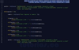 programacion en python: conversion de datos