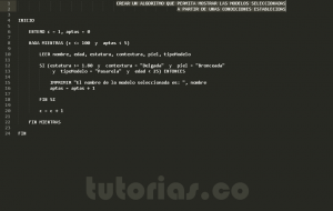 programacion en pseudocodigo: la modelo elegida