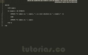 programacion en pseudocodigo: numero en valor absoluto