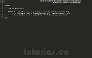 programación en pseudocodigo: hallar el presupuesto de un hospital