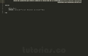 programación en pseudocodigo: prioridad aritmetica