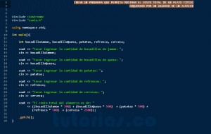 programacion en c++: el plato tipico