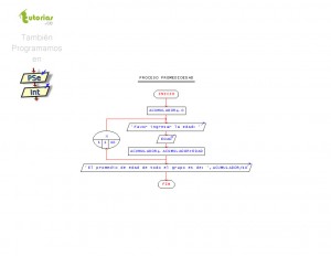 diagrama de flujo: hallar promedio de edad