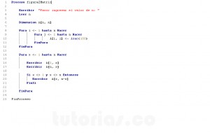 pogramacion en pseint: figura z matriz