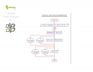 diagrama de flujo: inicializacion de matriz