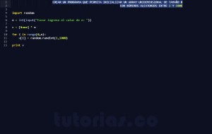 programacion en python: inicializacion de vector