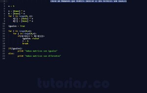 programacion en python: matrices iguales