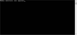 resultado ejecucion programa matrices iguales
