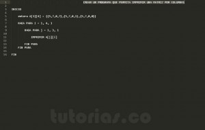 programacion en pseudocodigo: matriz por columnas