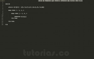 programacion en pseudocodigo: matriz por filas