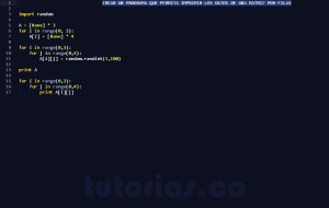 programacion en python: matriz por filas