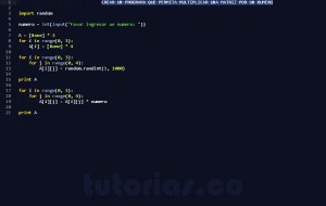 programacion en python: matriz por numero