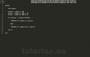 programacion en pseudocodigo: numero capicua