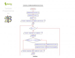 diagrama de flujo: promedio numeros positivos