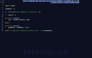 programacion en python: suma de datos vector