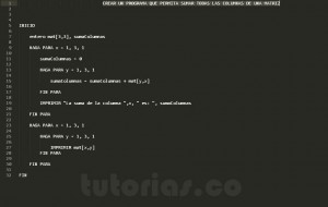 programacion en pseudocodigo: suma de columnas matriz