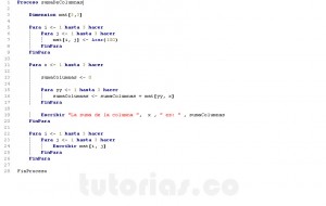 programacion en pseint: suma de columnas matriz