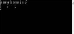 resultado ejecucion programa suma de columnas matriz