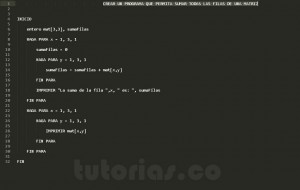 programacion en pseudocodigo: suma de filas