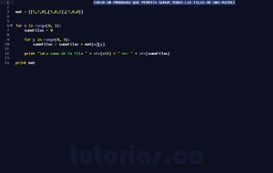 prograamcion en python: suma de filas matriz