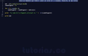 programacion en python: suma datos diagonal principal matriz