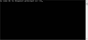 resultado ejecucion programa suma datos diagonal principal matriz
