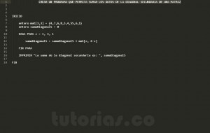 programacion en pseudocodigo: suma datos diagonal secundaria