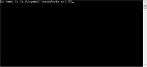 resultado ejecucion programa suma datos diagonal secundaria