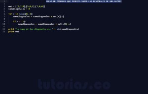 programacion en python: suma datos diagonales matriz