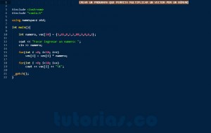 programacion en c++: vector por numero