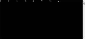 resultado ejecucion programa figura matriz z invertida