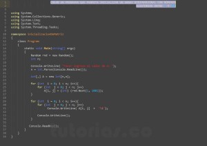 programacion en c#: inicializacion de matriz