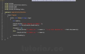 progrmacion en c#: numero en valor absoluto