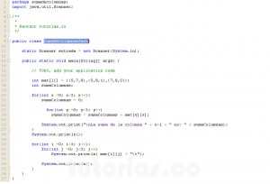 programacion en java: suma de columnas